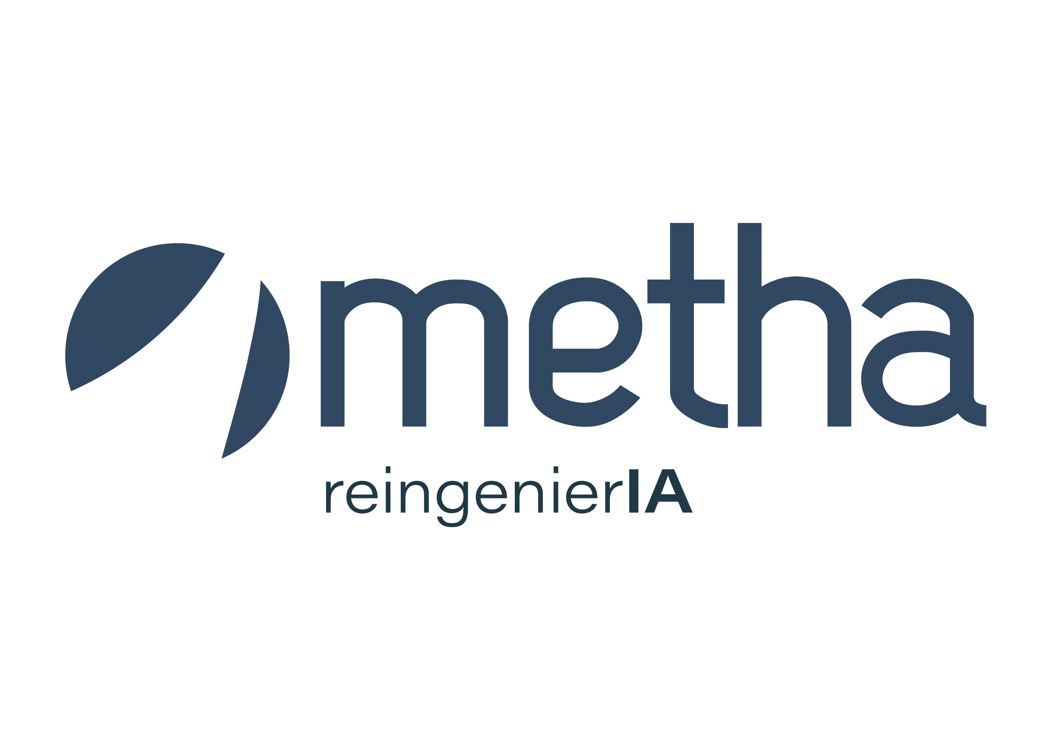 Metha ReingenierIA